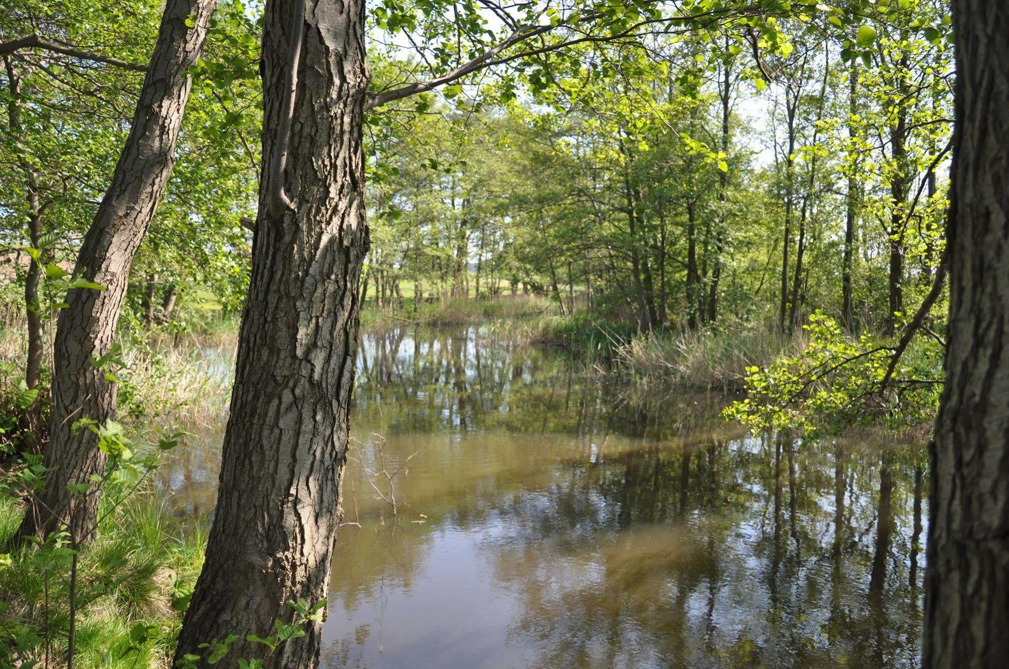 Hotel Am Gothensee Heringsdorf  Bagian luar foto
